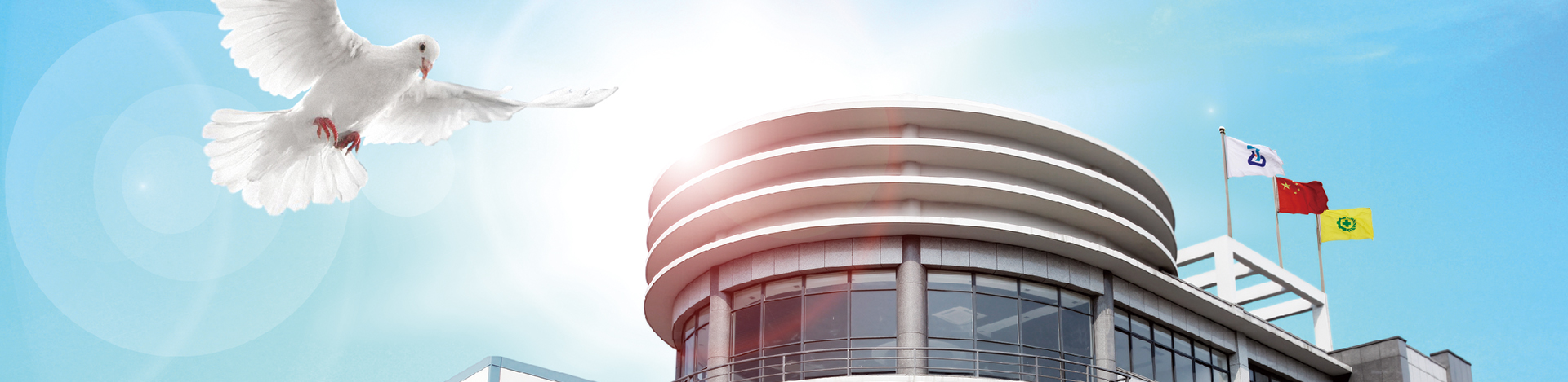 开云体育网址登录